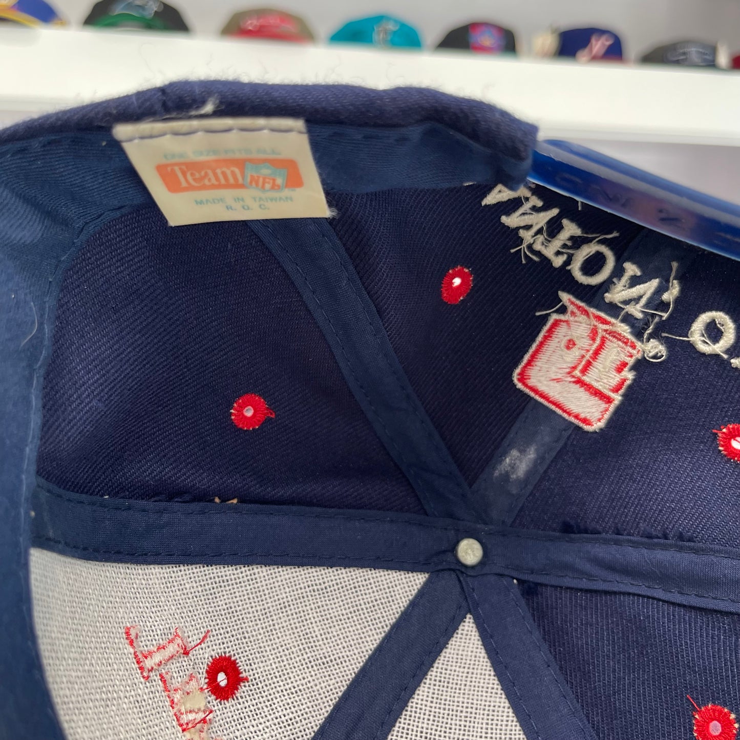 Vintage 1990s NFL Pro Football Hall of Fame Snap Back