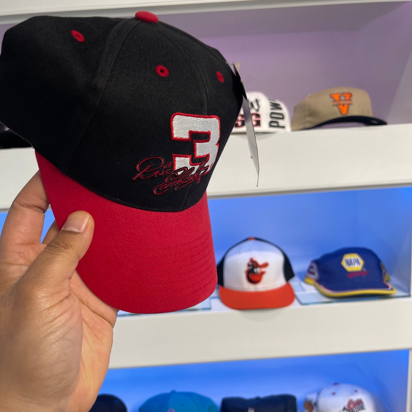 Vintage Dale Earnhardt Snap Back