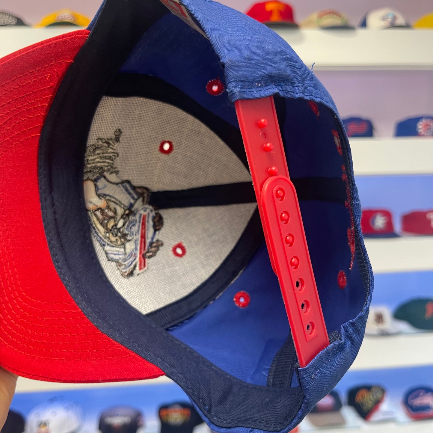 Vintage 1990s Buffalo Bills Tasmanian Devil Looney Tunes Twill Snap Back