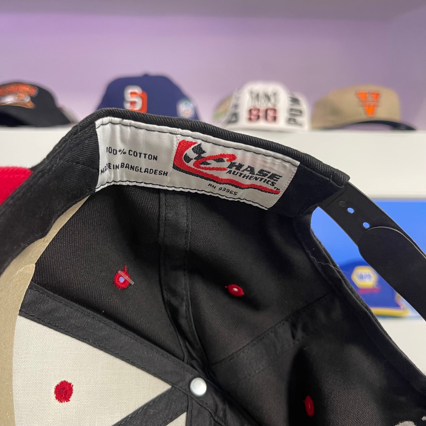 Vintage Dale Earnhardt Snap Back