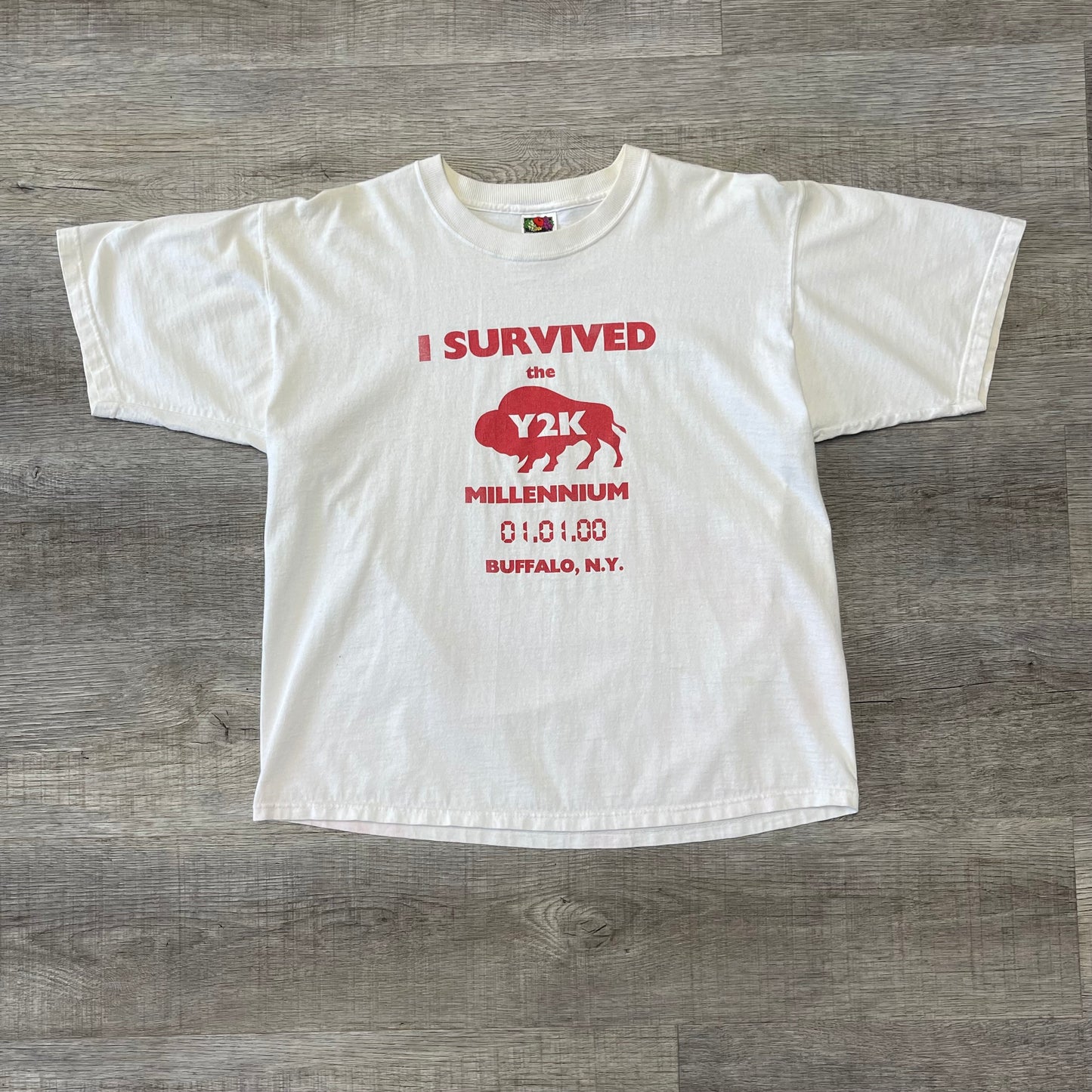 Vintage 2000 “I Survived The Y2K Millennium 01.1.00” Buffalo NY Shirt Size Large