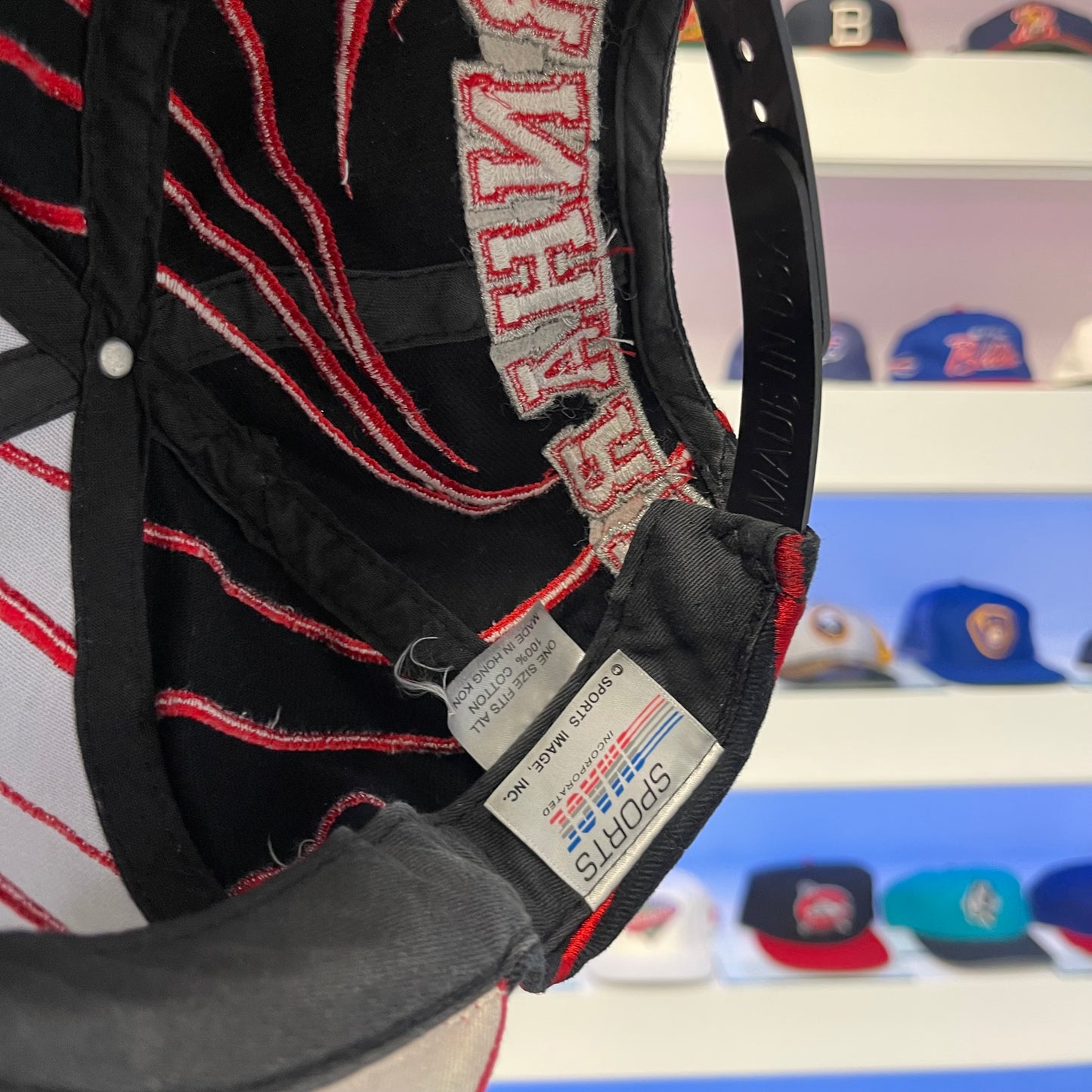 Vintage 1990s Dale Earnhardt NASCAR Chase Snap Back