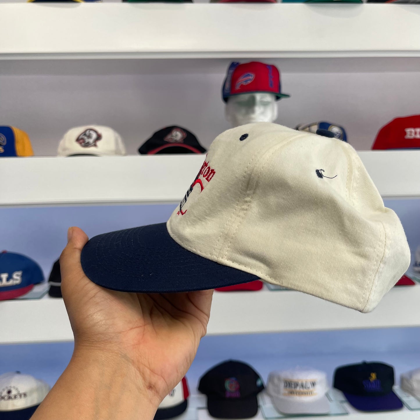 Vintage Washington DC Snap Back