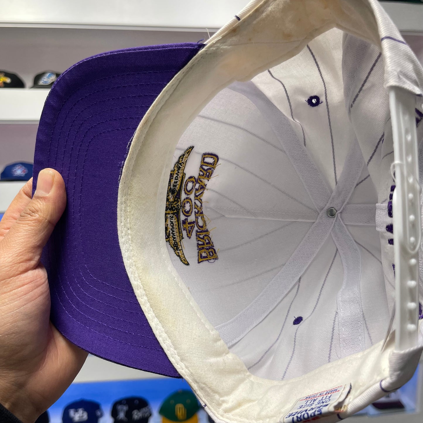 Vintage 1994 Brickyard 400 Pin Stripe Snap Back