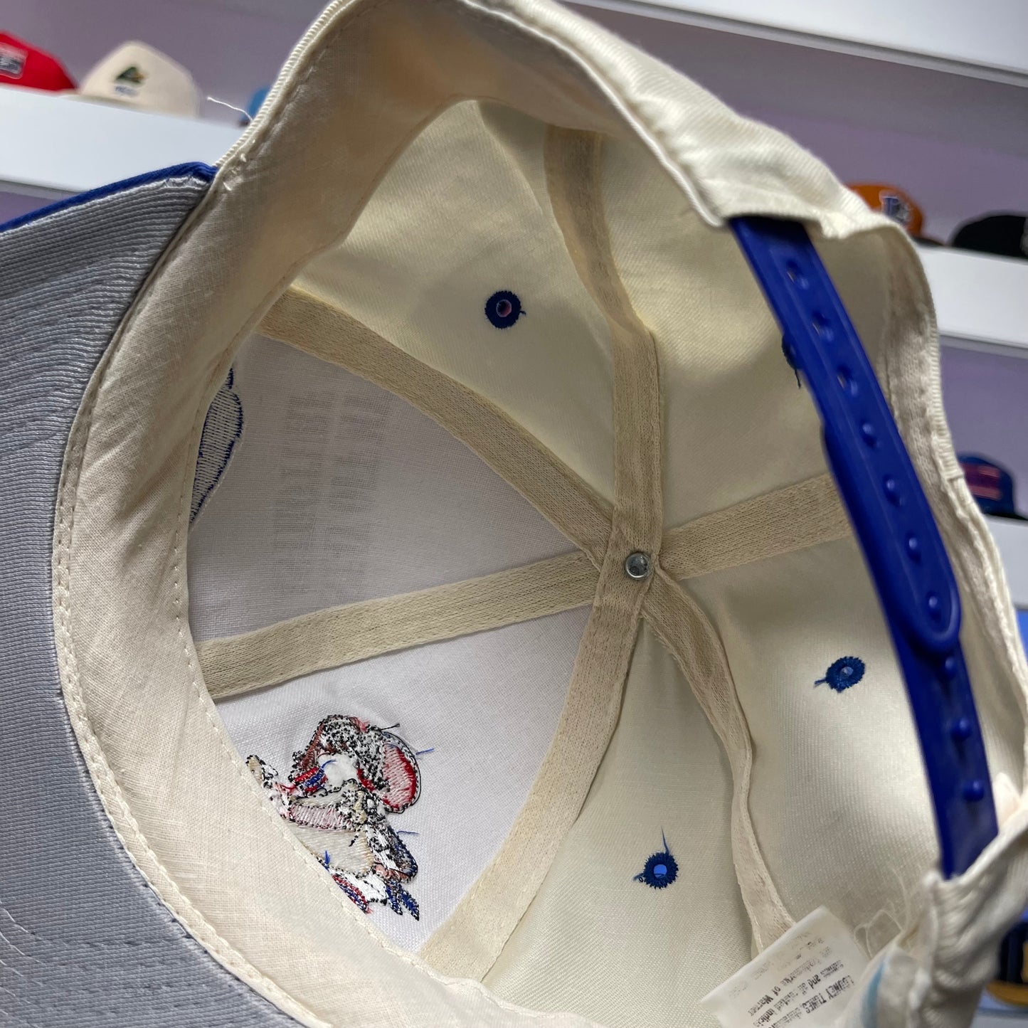 Vintage 1990s NFL Buffalo Bills Tasmanian Devil Looney Tunes Snap Back