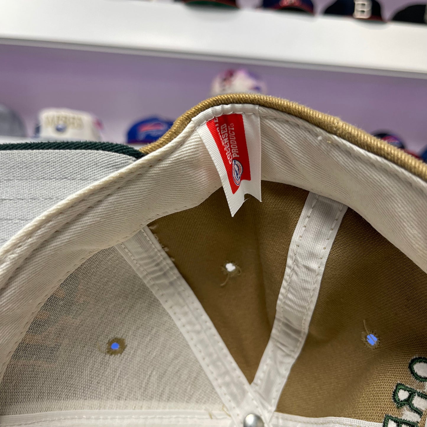 Vintage 1990s NCAA Oregon Ducks Snap Back