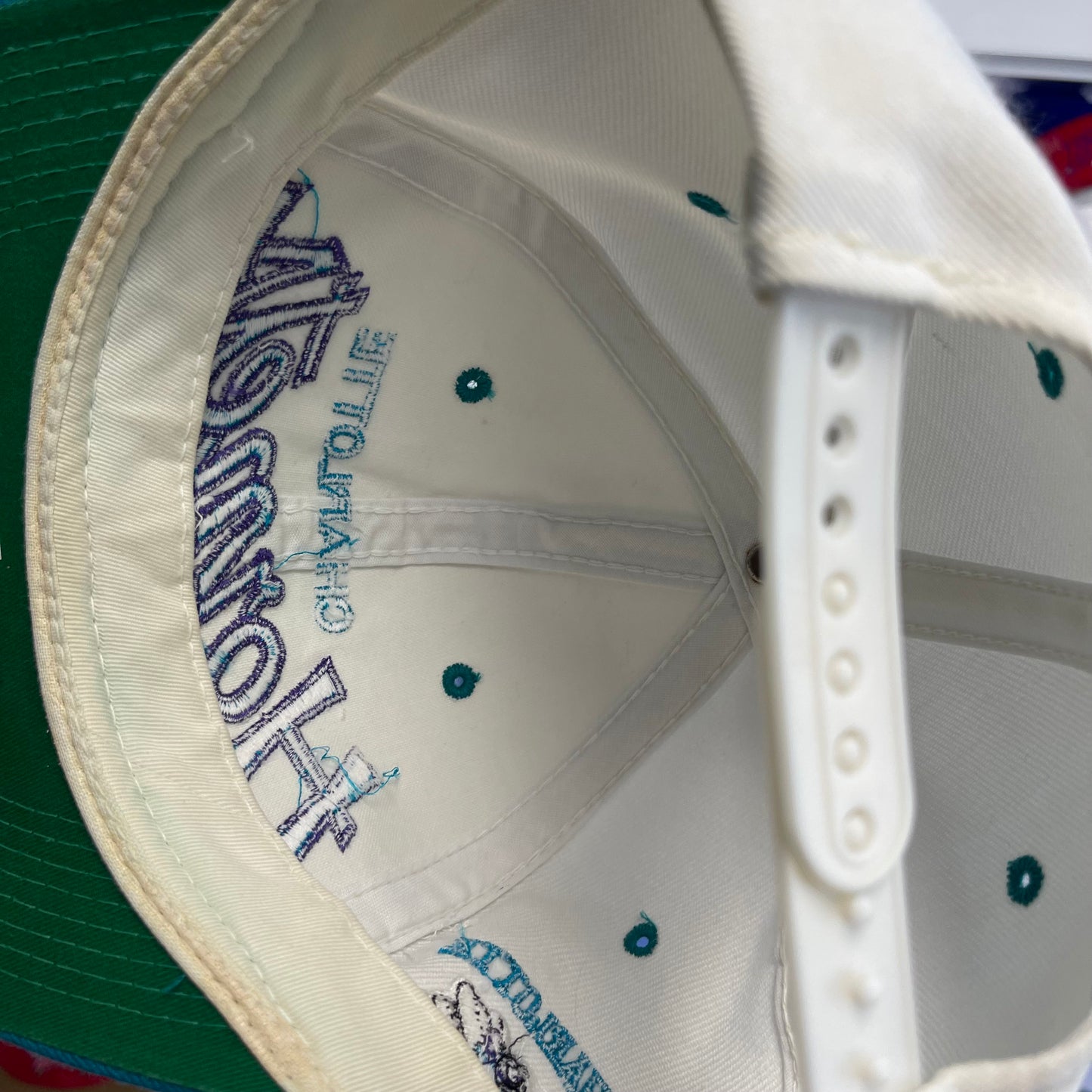 Vintage Charlotte Hornets Sports Specialties Script Wool Snap Back