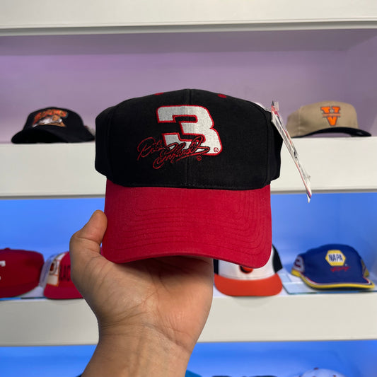 Vintage Dale Earnhardt Snap Back