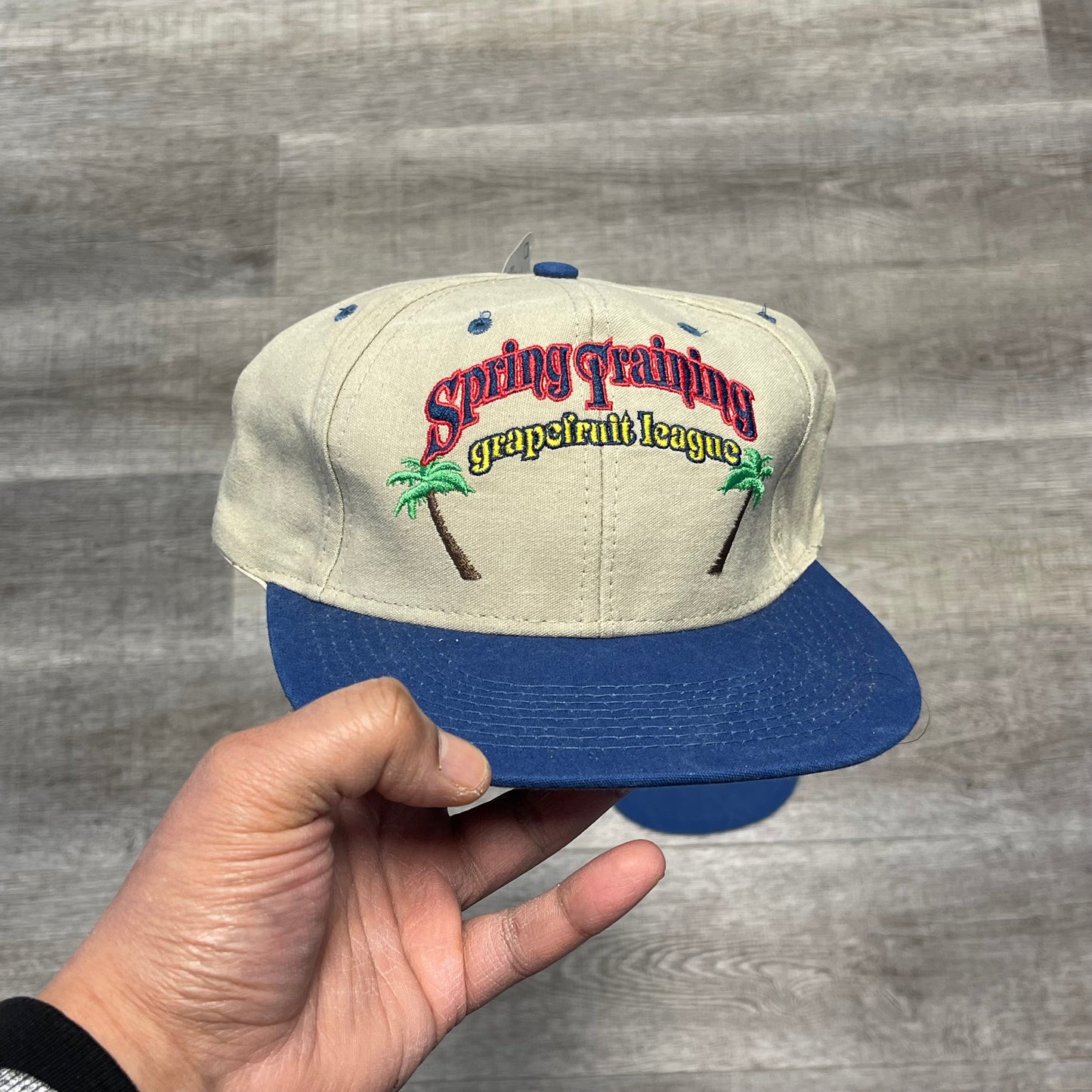 Vintage 1990s Spring Training Grape League Blank Snap Back