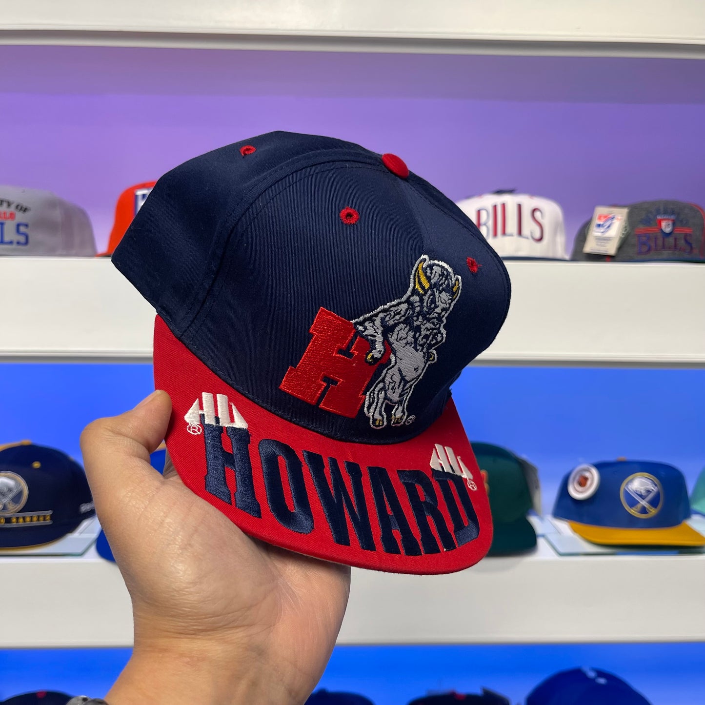 Vintage 1990s NCAA Howard Bison Snap Back