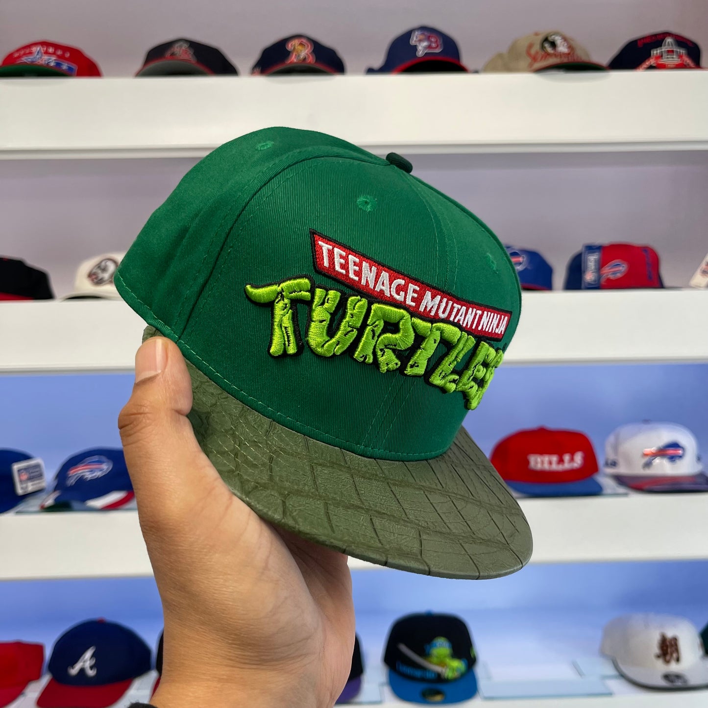 Teenage Mutant Ninja Turtles Snap Back