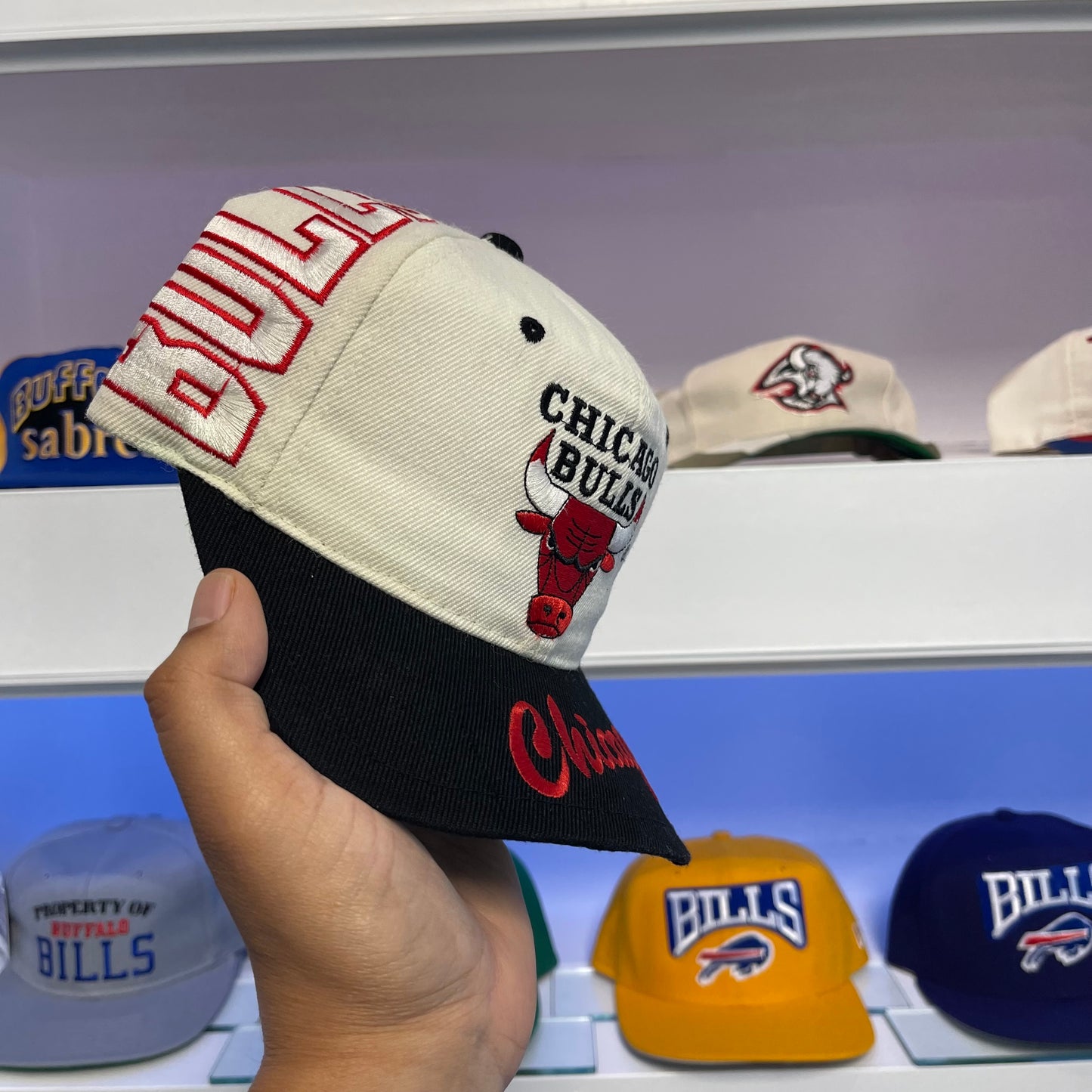 1990s Chicago Bulls Snap Back