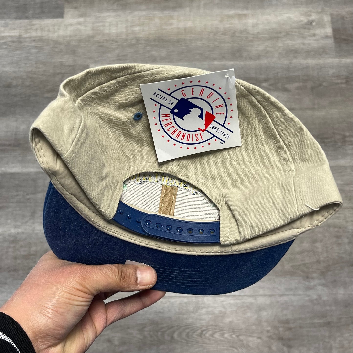 Vintage 1990s Spring Training Grape League Blank Snap Back