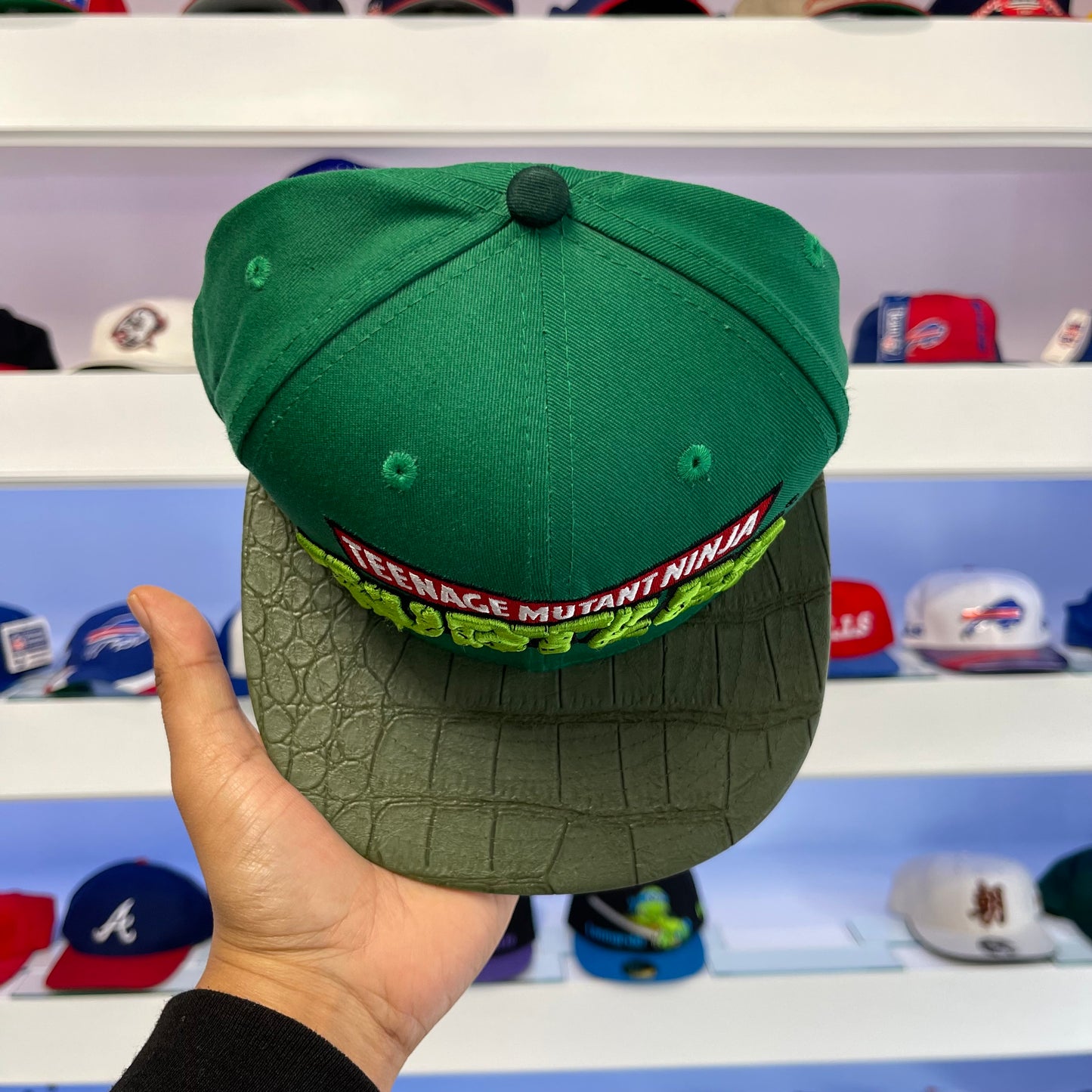 Teenage Mutant Ninja Turtles Snap Back