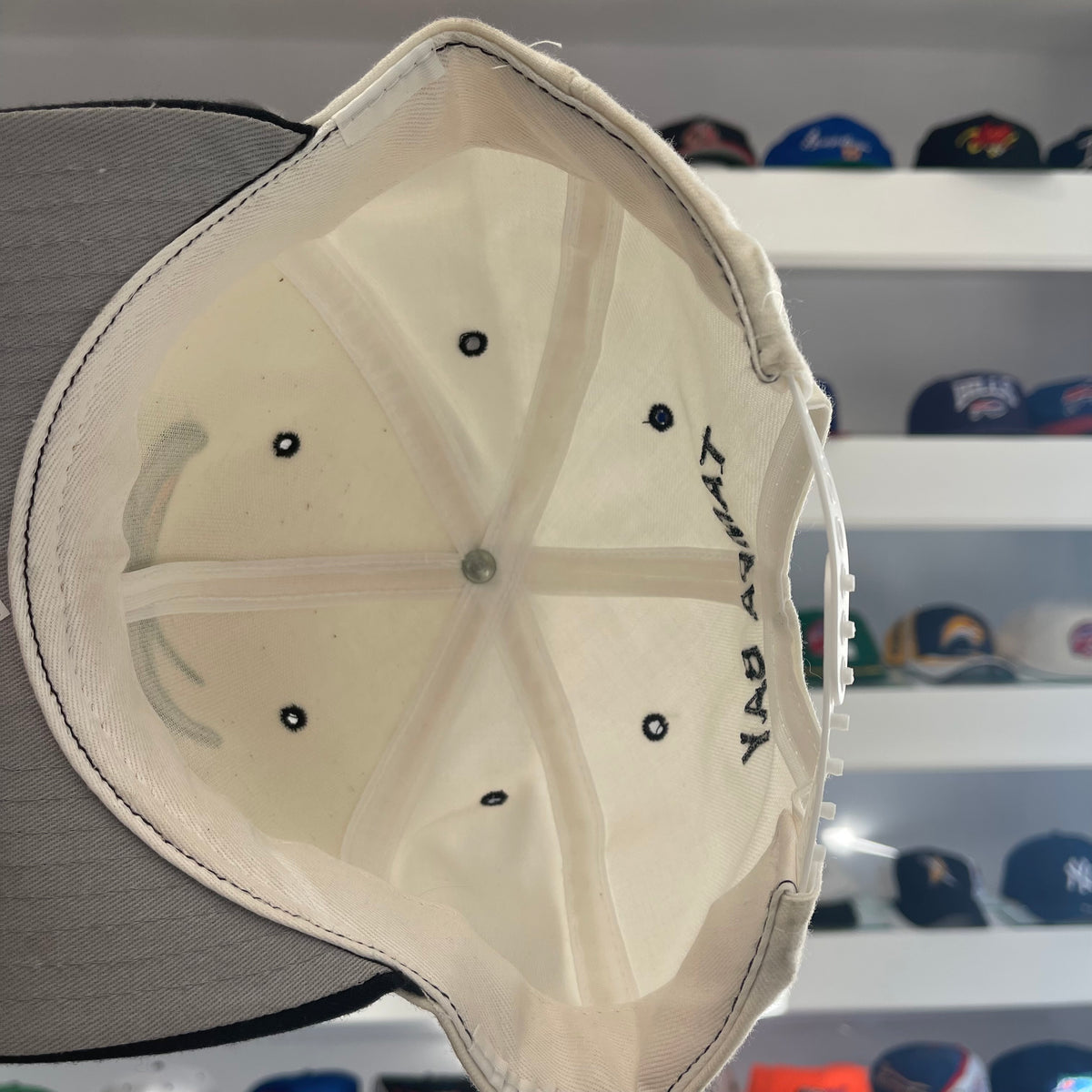 Vintage 1990s MLB Tampa Bay Rays Wool Snap Back