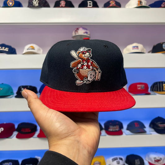 Vintage 1990s MiLB Asheville Tourists Wool Snap Back