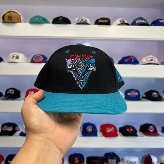 Vintage 1994 RHI Buffalo Stampede Snap Back