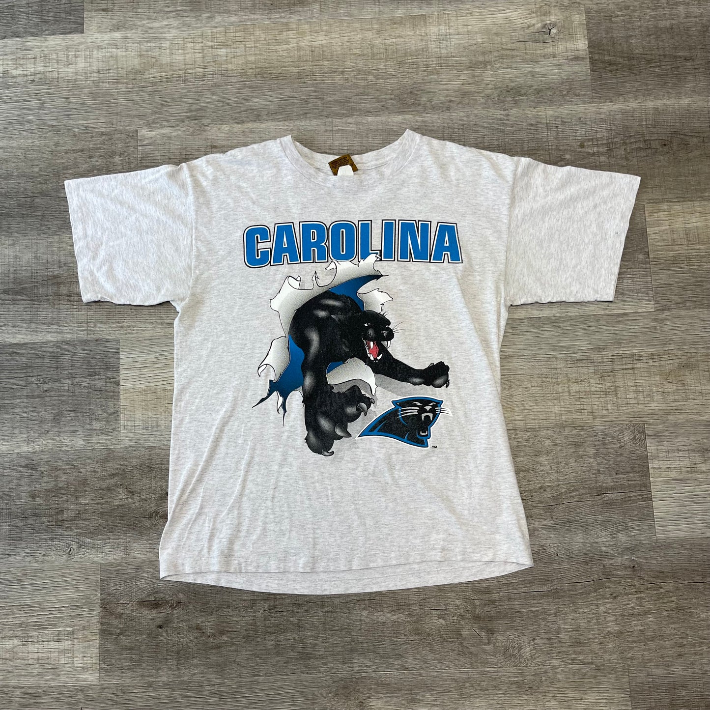 1993 Carolina Panthers Vintage Nutmeg Mills Breakthrough NFL Tee Large