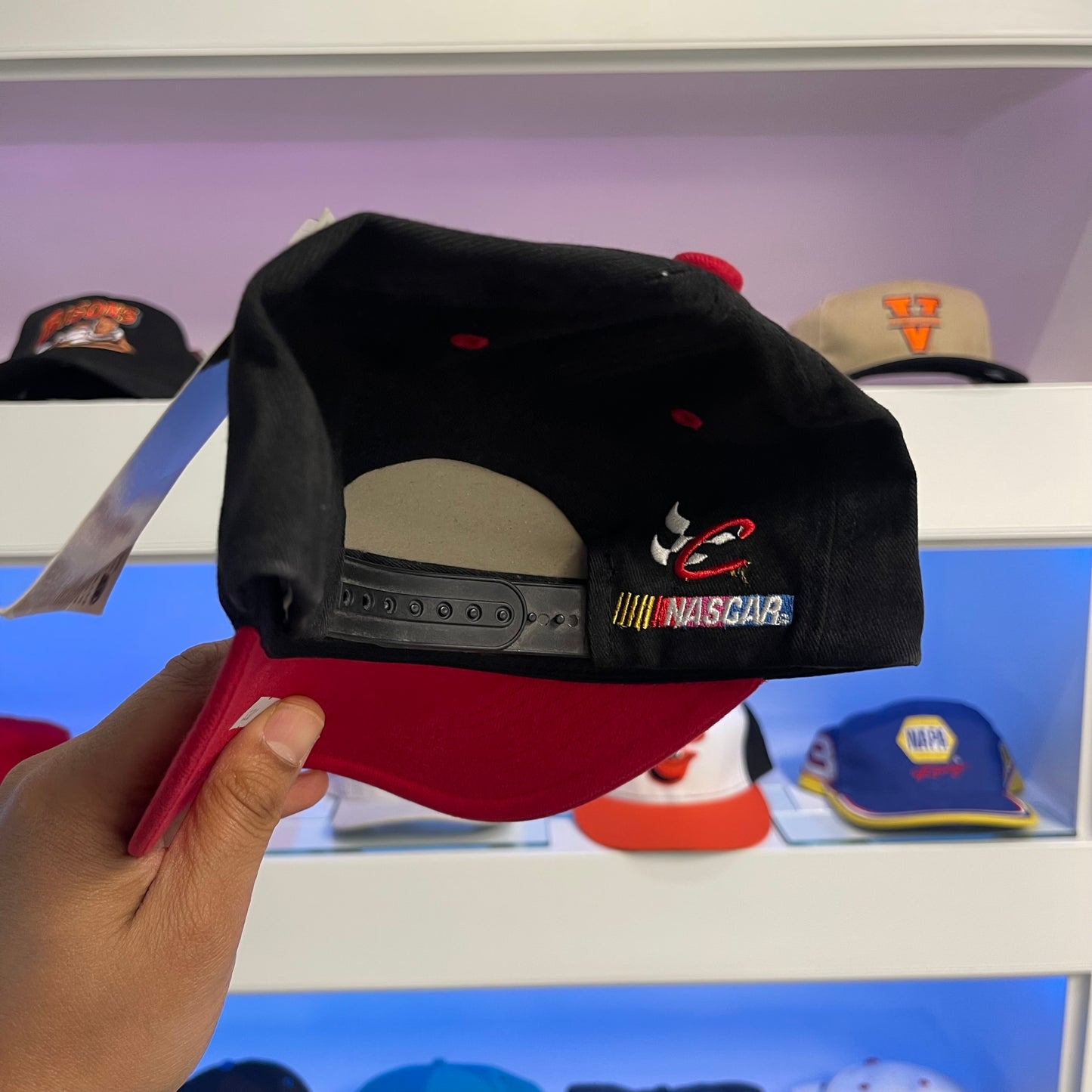 Vintage Dale Earnhardt Snap Back