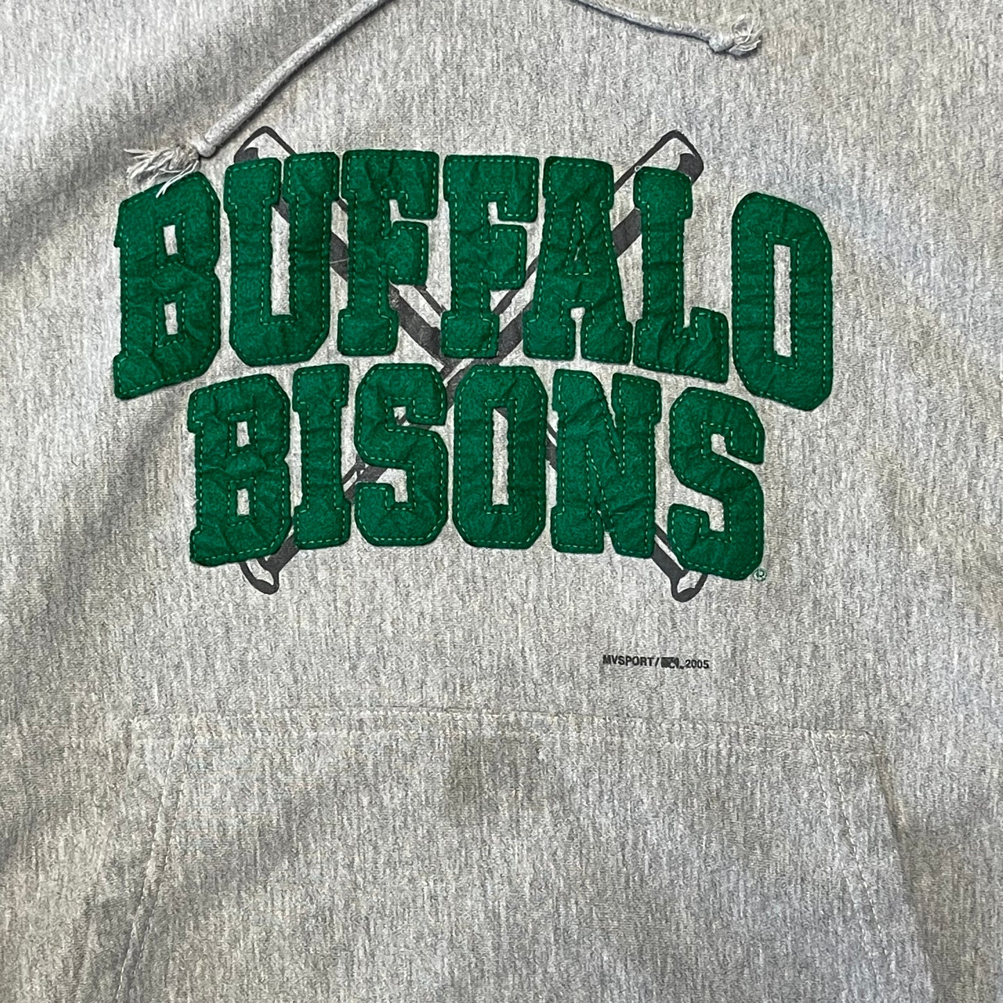 Vintage Buffalo Bisons y2k Hoodies Size Large